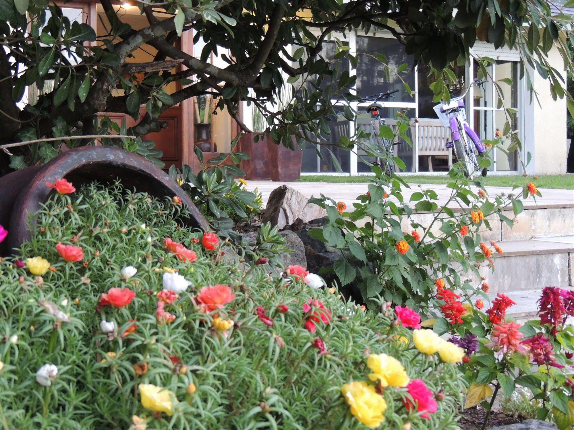 Petit Chateau Hotel Boutique Punta del Este Esterno foto